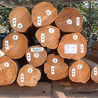 Burma Teak Wood Logs