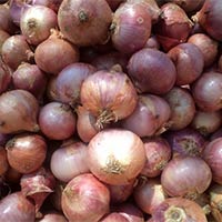 fresh red onion