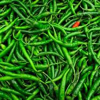 fresh green chilli