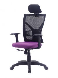 Endura High Back Ergonomic Office Chair