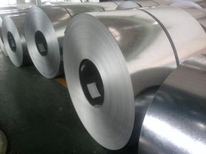 Galvanized Coil