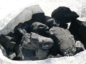 Namibia Wood Charcoal