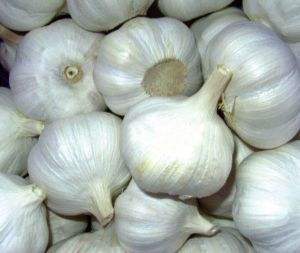 fresh garlic,  Application : Snacks, Fast Food, Cooking