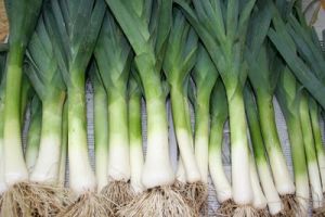 Leeks