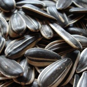 sunflower seeds