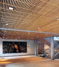 wood ceilings