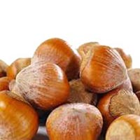 Natural Hazel Nut