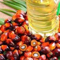 Palm Oil,Sunflower Oil,Soybean Oil,Corn Oil Etc