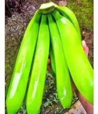 Common Banana, Packaging Type : Green, Light Yellow, Yellow