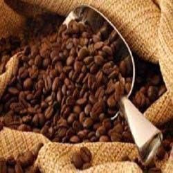 coffee beans,  Shelf Life : 1 Year