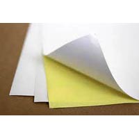 Wood Paper Gum Sheets