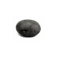 Shaligram Stone