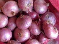 fresh red onion