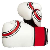 boxing gears