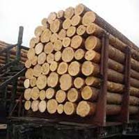 American Fine Wood Logs