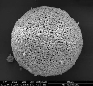 Spherical Yttrium Oxide