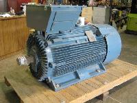 electric motor