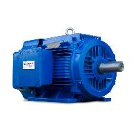 electric motor