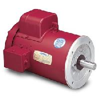 electric motor