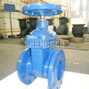 Pressure Seal Gate Valve