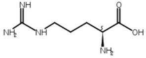L-Arginine 74-79-3