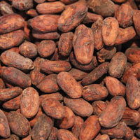 Dried Cocoa Beans
