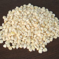 White Maize Seeds