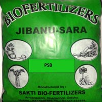 Phosphorus Biofertilizer