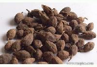 Brown Cardamom