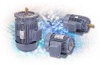 AC Induction IEC Motors