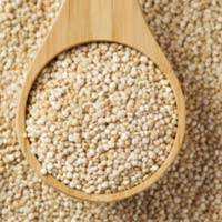 Quinoa Grain