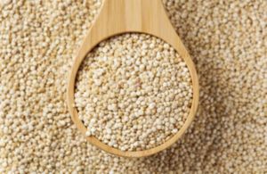 Quinoa Grain