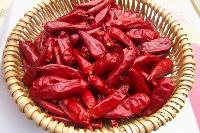 Chaotian Pepper
