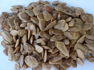 Akuamma Seed