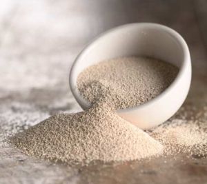 Confectionery & Bakery Products