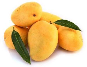 fresh mango