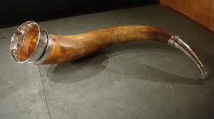 Good Quality Normal Drinking Horn