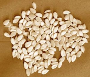 melon seeds