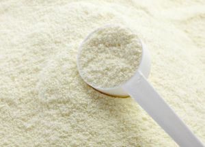 milk powder