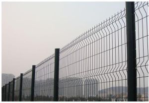 Wire Mesh Fence
