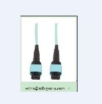 Mpo Patch Cable