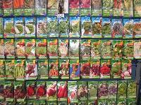 vegetable seeds
