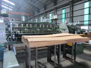 Hydraulic Driven System Long Core Veneer Composer For 8 Feet X 8 Feet