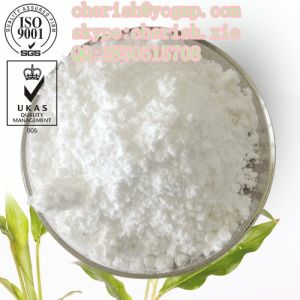 Anesthetic Raw Powder Benzocaine