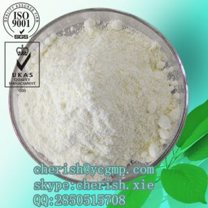 Antifungal Medication Clotrimazole