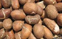 Bitter Kola Nuts