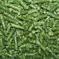 Green Alfalfa Pellets for Cattle