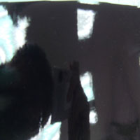 Raw & Processed Leather