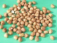 Hazelnuts