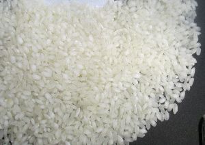 short grain round rice
